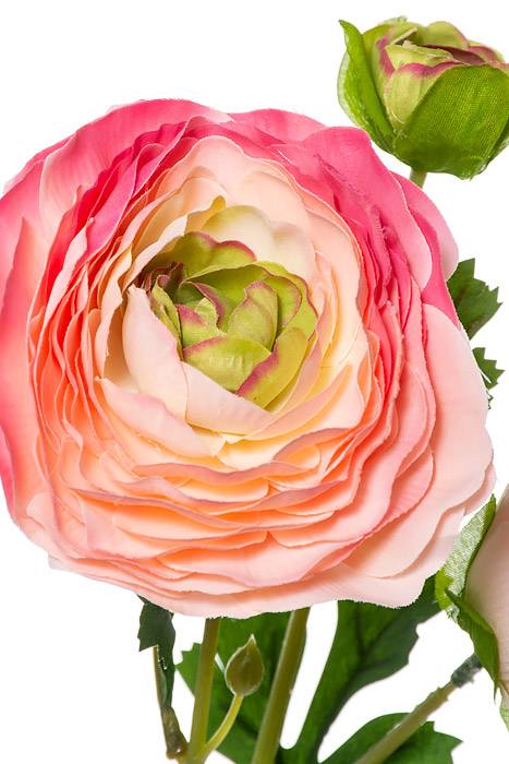 26&quot; Silk Ranunculus Spray Pink