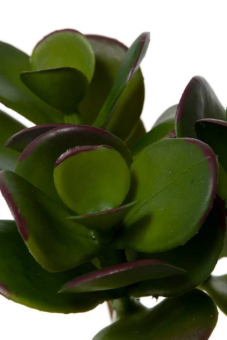 7" Jade Succulent Pick Green