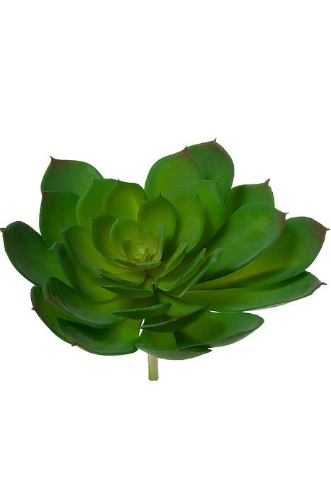 8.3" Soft Echeveria Pick Green