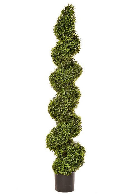 57" Boxwood Spiral Top Green