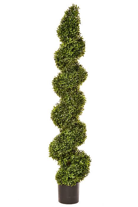 47" Boxwood Spiral Top Green