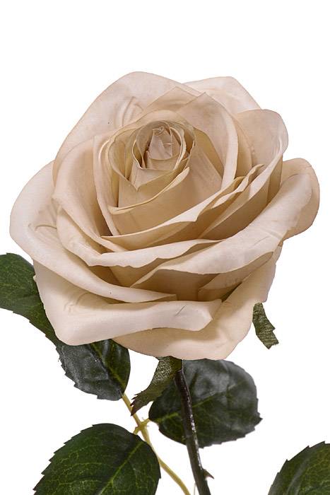 21.5" Rose Spray Egg Shell