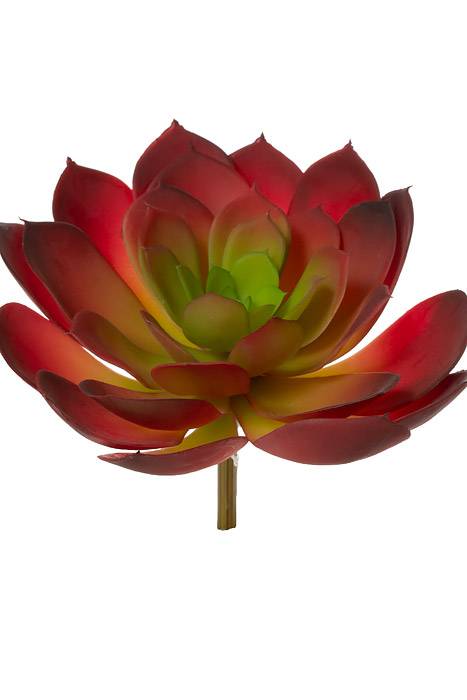 8" Soft Echeveria Pick Burgundy