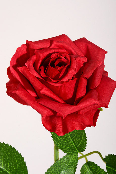 20" Silk Rose W/Thorns Stem Red