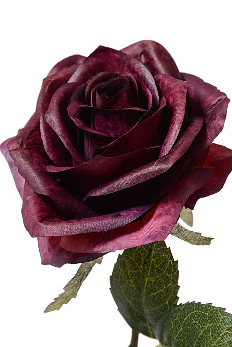 21.5" Rose Spray Eggplant