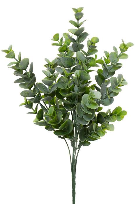 13" Eucalyptus Bush Green