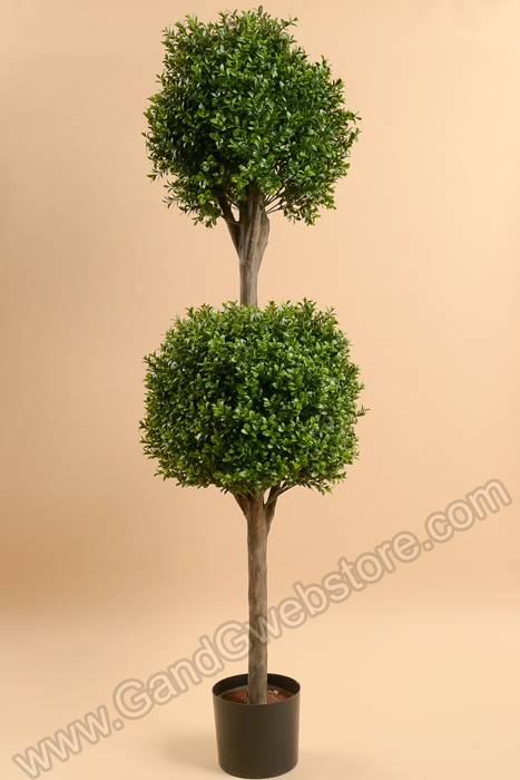 4ft Double Ball Boxwood Top Green