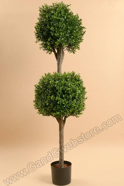 4ft Double Ball Boxwood Top Green