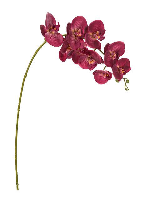 40" Silk Phalaenopsis Spray Orchid