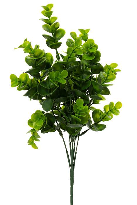 13" Eucalyptus Bush Green/two Tones