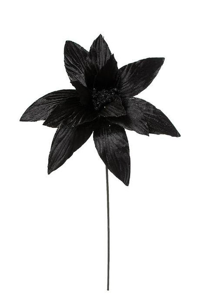 24" Black Velvet Poinsettia Stem