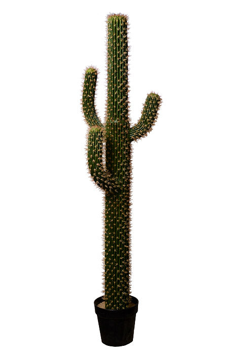67" Artificial Cactus In Pot Green