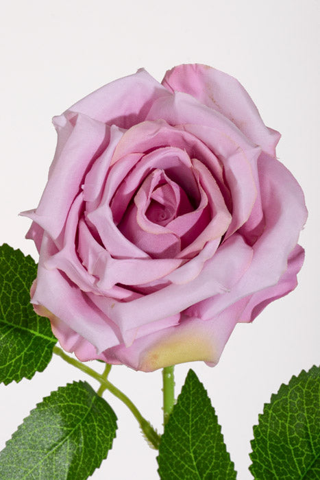 20" Silk Rose W/Thorns Stem Lavender