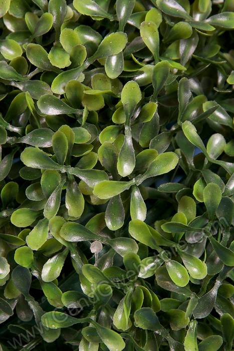 16" Tea Leaves Ball Green