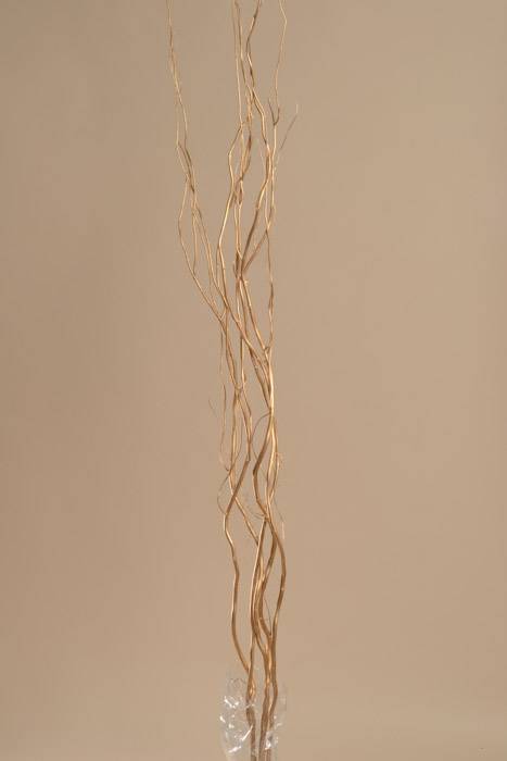 5-6 Ft Natural Curly Willow Gold Pkg/5