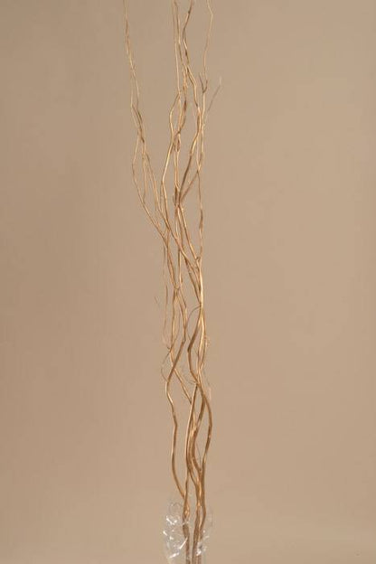 5-6 Ft Natural Curly Willow Gold Pkg/5