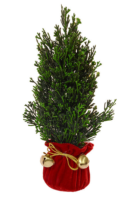 11" Petite Cedar Tree In Velvet Sack With Bells Green/Red