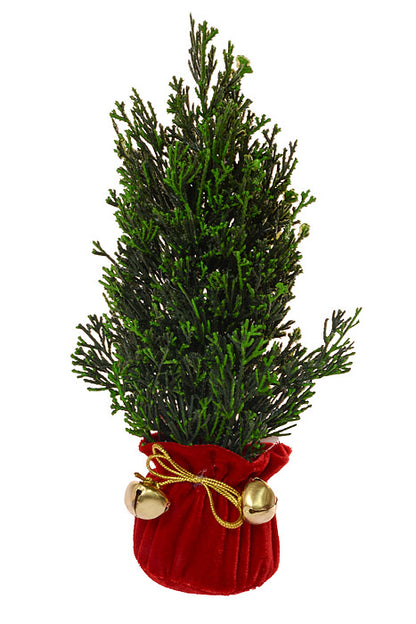 11" Petite Cedar Tree In Velvet Sack With Bells Green/Red