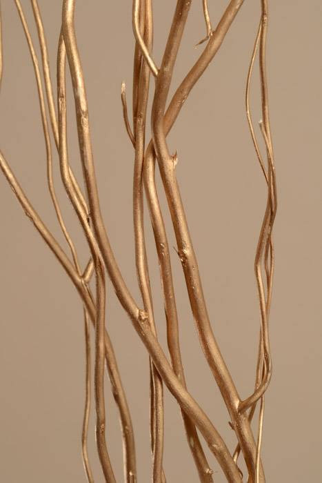 5-6 Ft Natural Curly Willow Gold Pkg/5