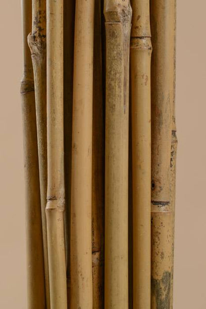 8ft X 1" Bamboo Pole Natural Pkg/5