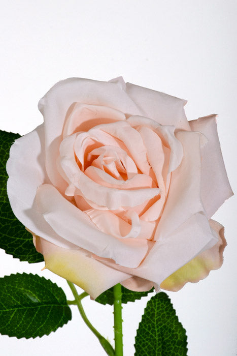 20" Silk Rose W/Thorns Stem Light Peach
