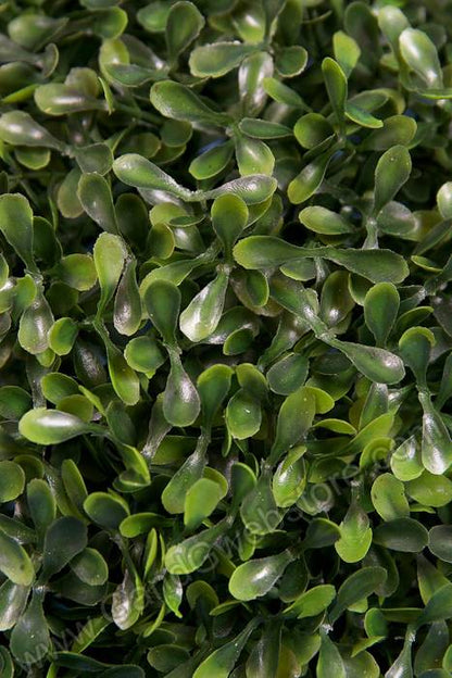 12" Tea Leaves Ball Green