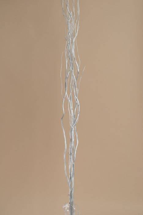 5-6 Ft Natural Curly Willow Silver Pkg/5