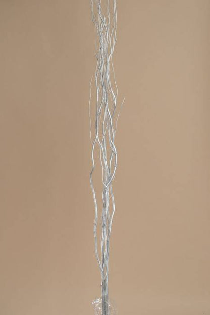 5-6 Ft Natural Curly Willow Silver Pkg/5