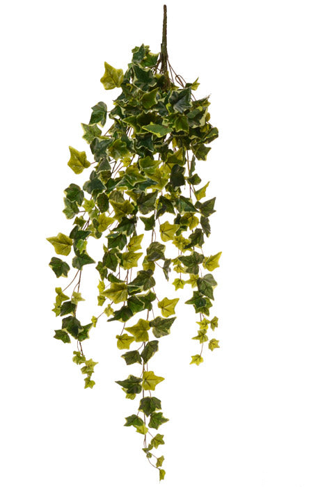 40" Real Touch Ivy Hanger (Variegate)