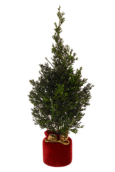 16" Petite Cedar Tree In Velvet Sack With Bells Green/Red