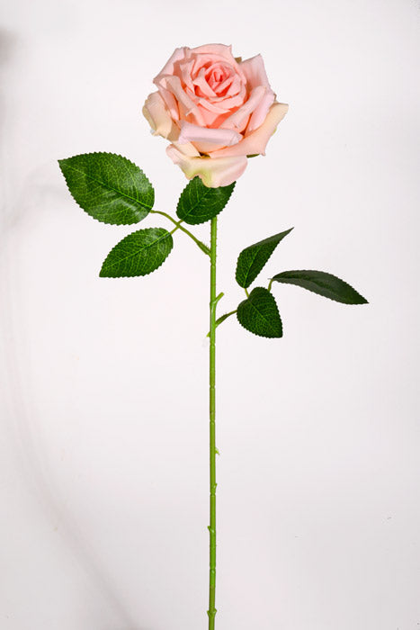 20" Silk Rose W/Thorns Stem Peach