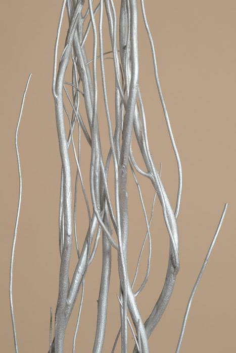 5-6 Ft Natural Curly Willow Silver Pkg/5