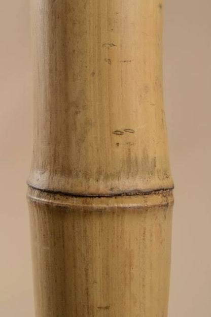3ft X 3/8" Bamboo Stake Natural Pkg/25