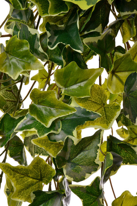 40" Real Touch Ivy Hanger (Variegate)