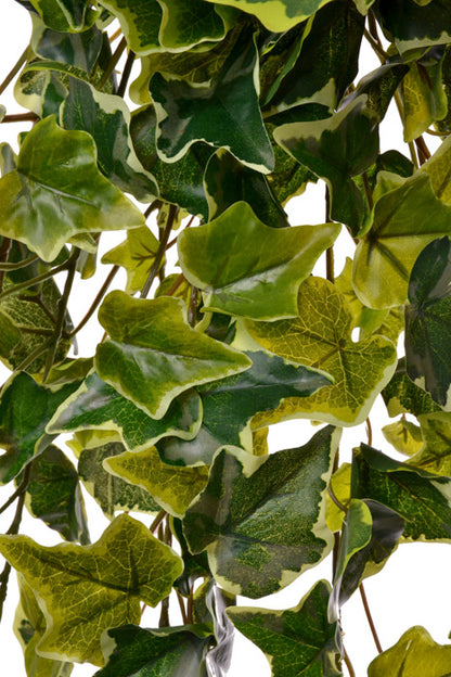 40" Real Touch Ivy Hanger (Variegate)