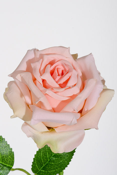20" Silk Rose W/Thorns Stem Peach