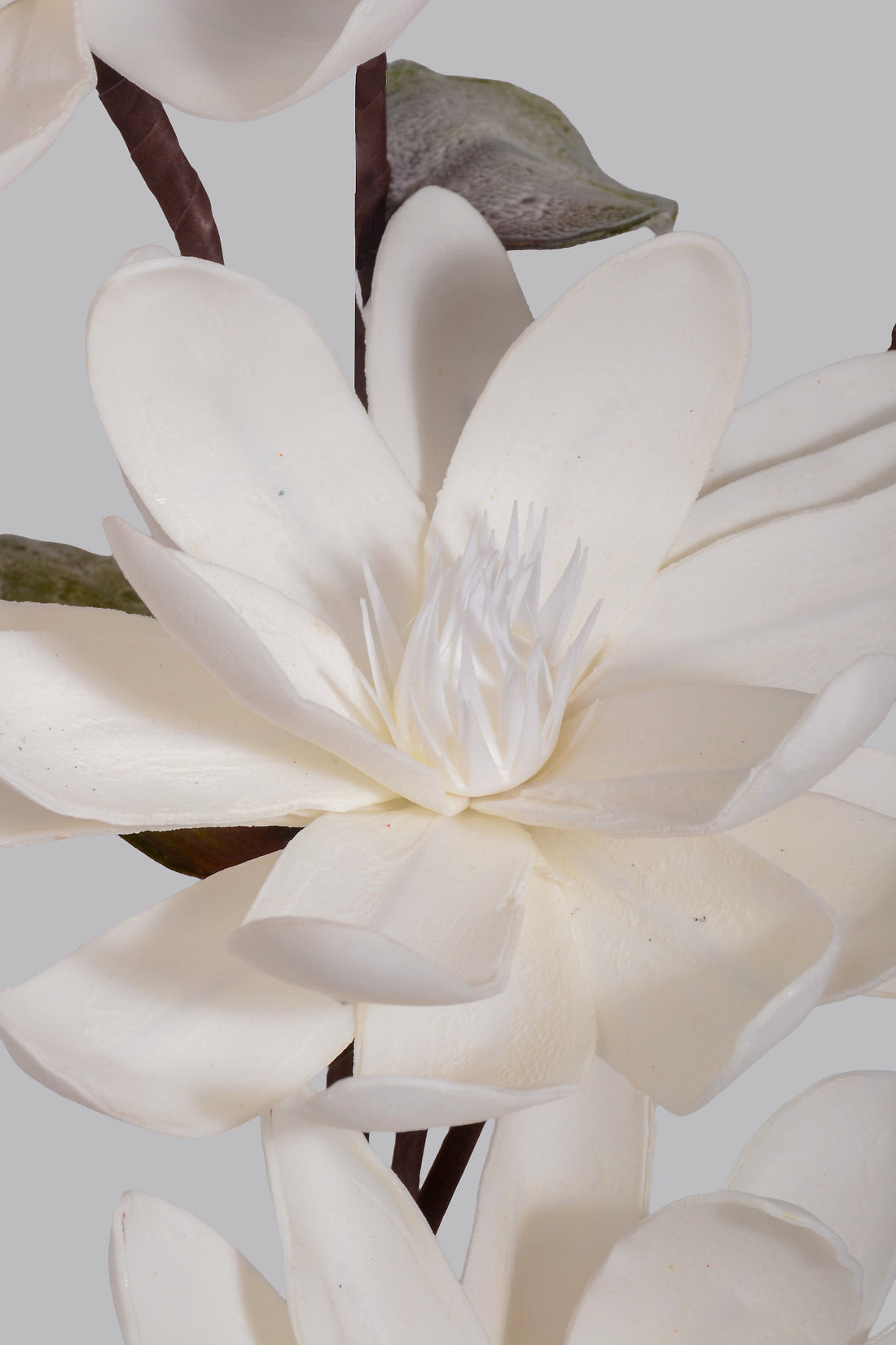 46" Foam Magnolia Stem White