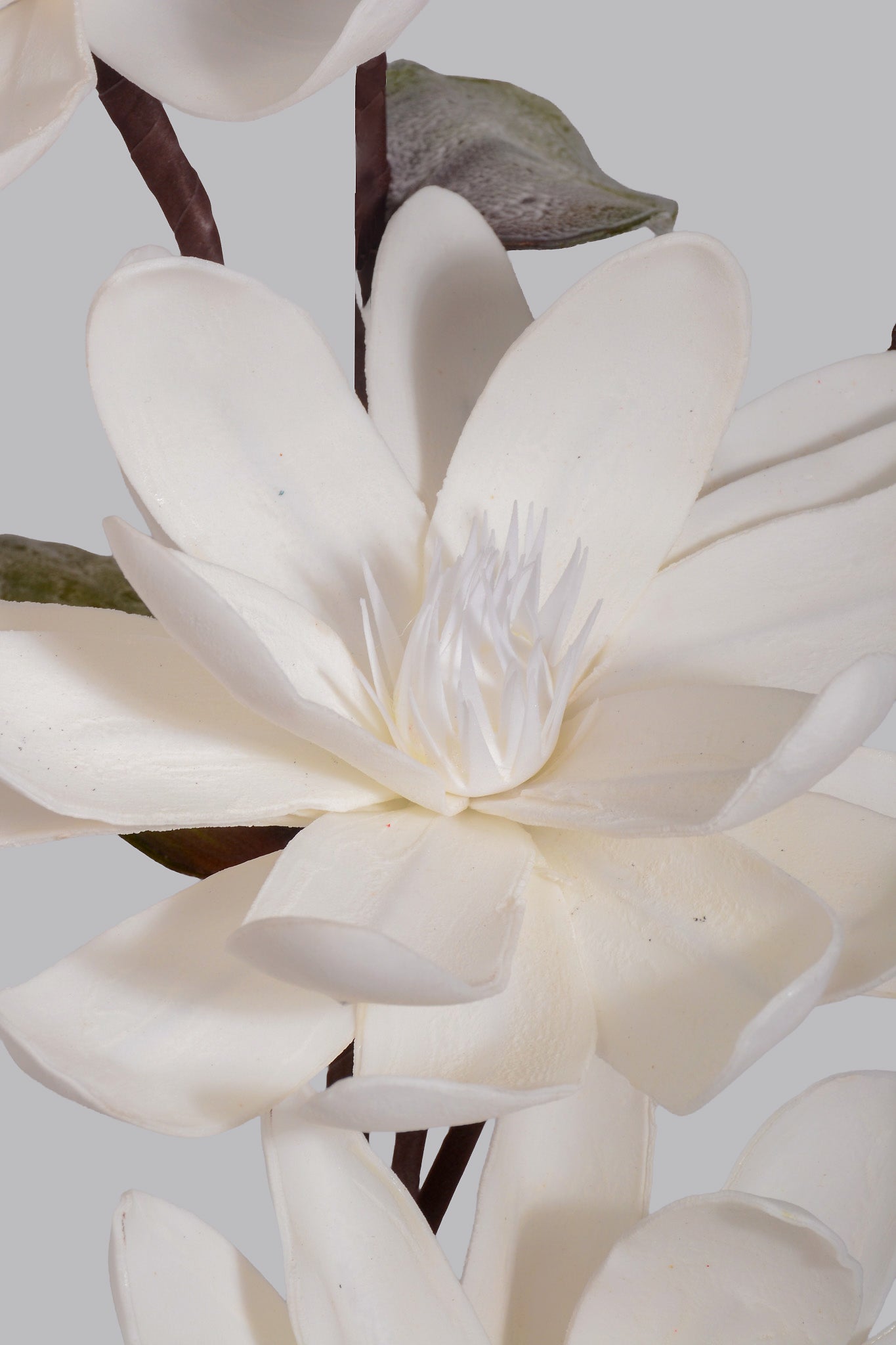 46" Foam Magnolia Stem White