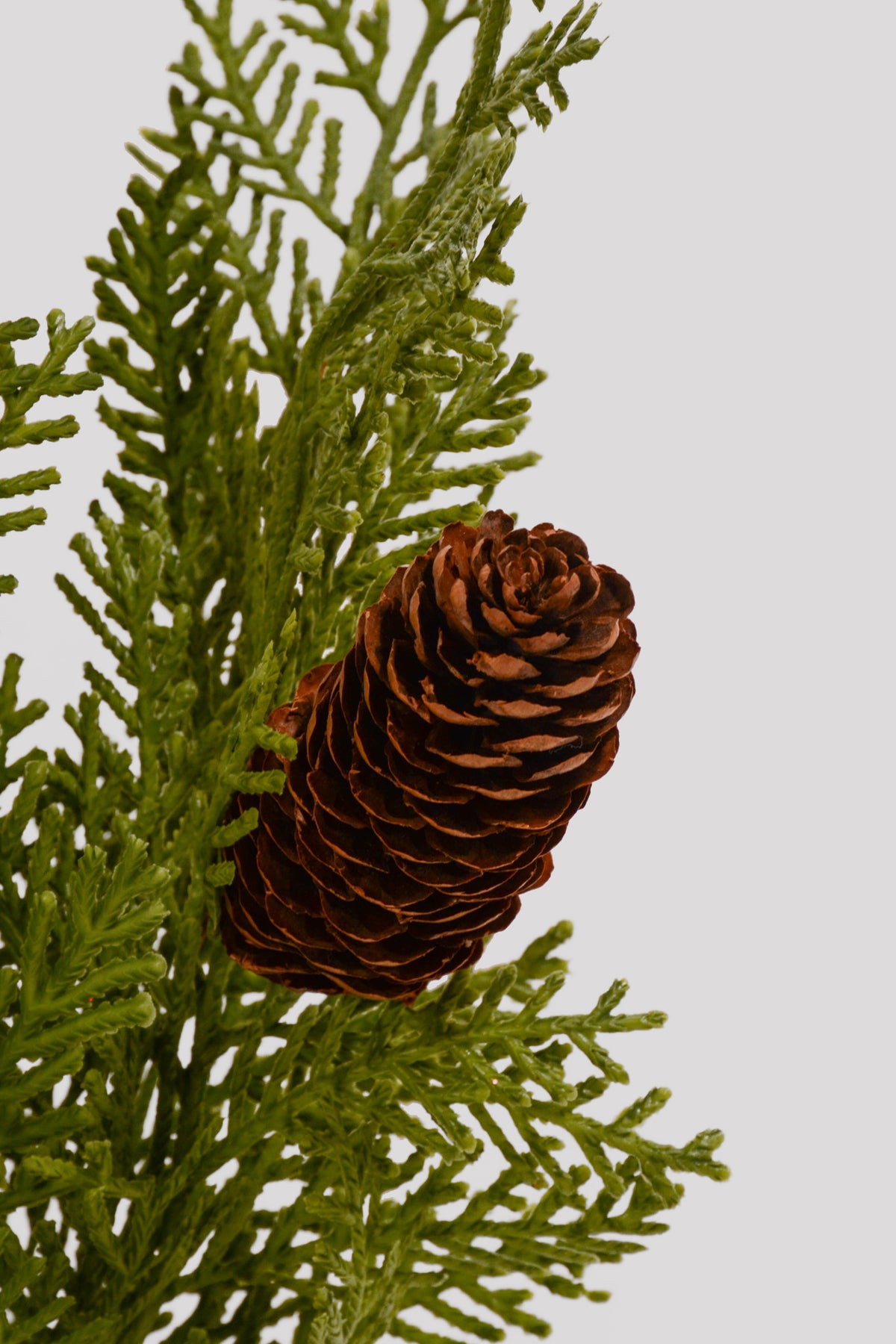 17" Cedar &amp; Pinecone Bush Green