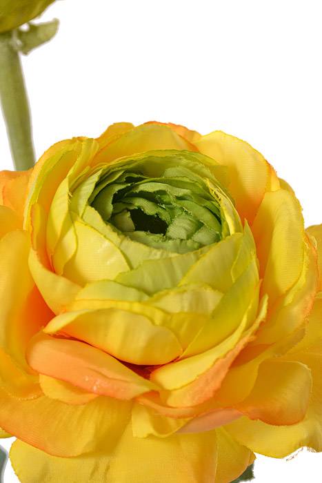 15&quot; Silk Ranuculus Spray W/bud Yellow/Green