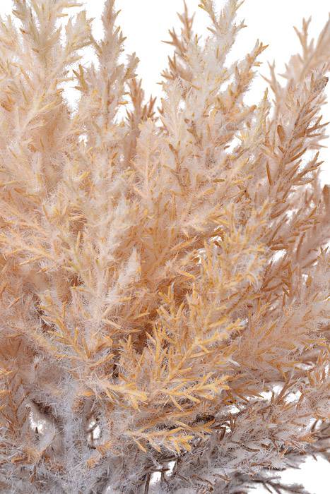 14" Pampas Grass Bundle (Beige) Pkg/3