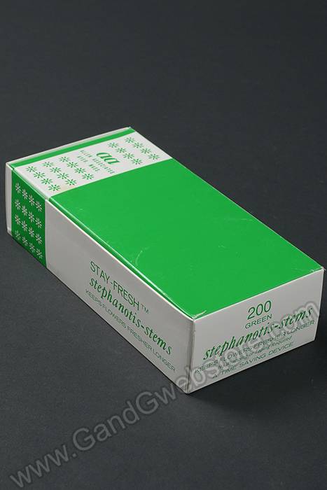 6" Stephanotis Stems Green Pkg/200