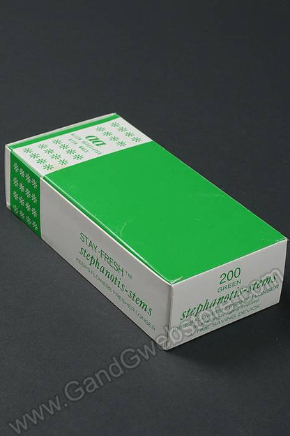 6" Stephanotis Stems Green Pkg/200
