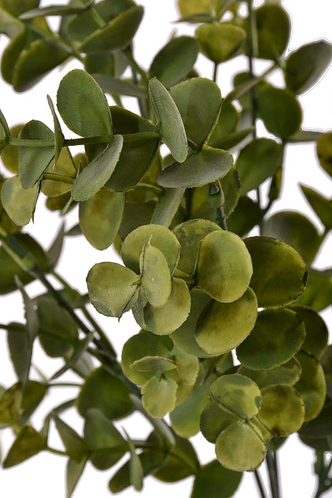 14.25" Eucalyptus Bush Green