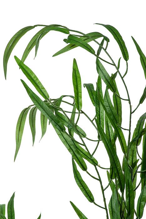 47" Weeping Willow Green