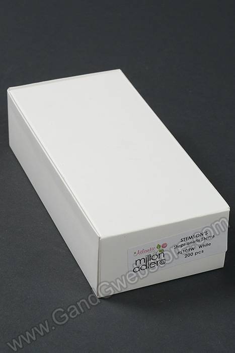 6" Stephanotis Stems White Pkg/200