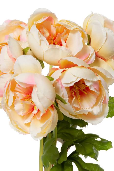 12&quot; Silk Ranunculus Bundle X6  Pink/soft Yellow