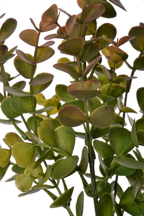 14.25" Eucalyptus Bush Green/Burgundy