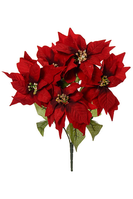 19" Poinsettia Bush Black/Red