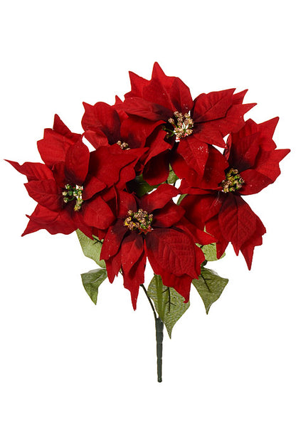 19" Poinsettia Bush Black/Red
